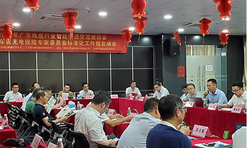 華磊迅拓受邀為MES廠商代表，與廣東光電線纜委員會共同承辦2019廣東線纜行業智能制造交流座談會